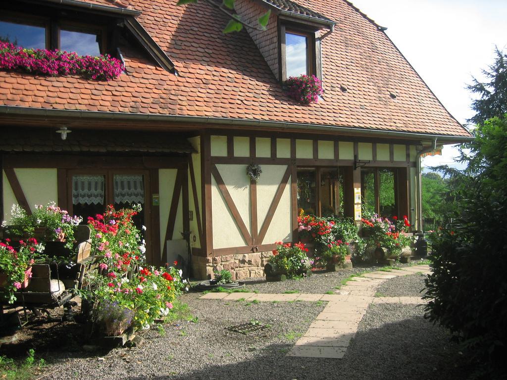 Le Neufeld Oberhaslach Exterior photo