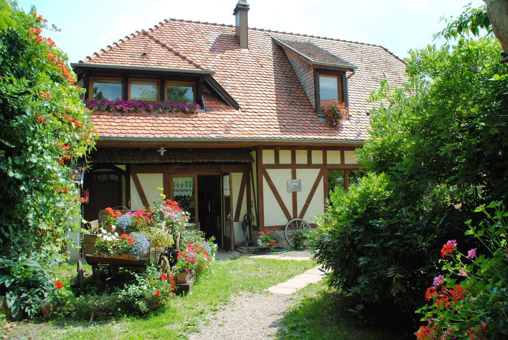 Le Neufeld Oberhaslach Exterior photo