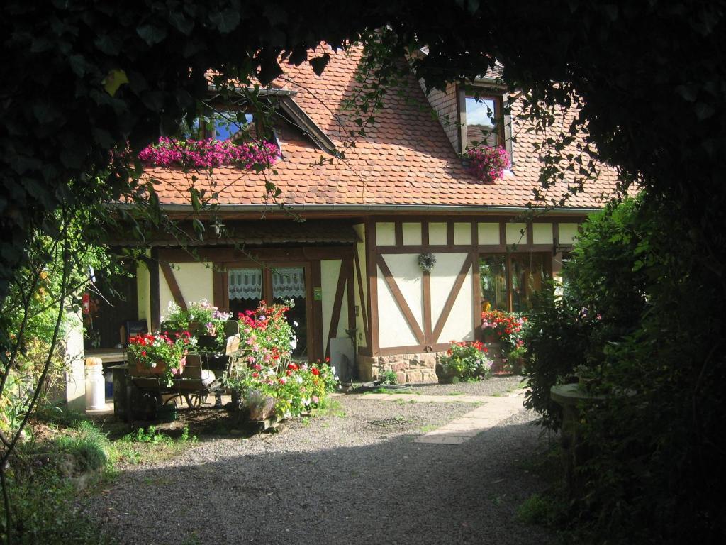 Le Neufeld Oberhaslach Exterior photo